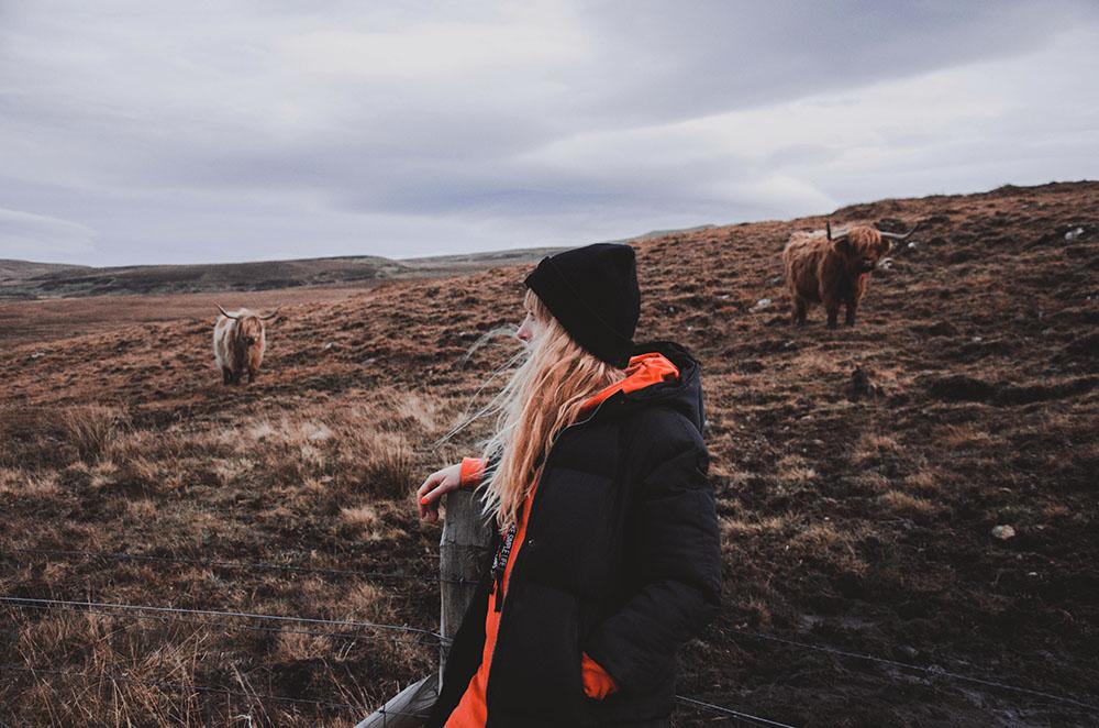 Najbardziej kochane krowy świata!? Gdzie można je spotkać? • Travel Jera